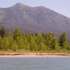 Logging Mountain