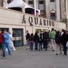 Sea Life London Aquarium Sea Life London Aquarium