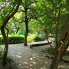 Lucknow Zoo Lucknow Zoo