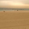 La Barceloneta La Barceloneta