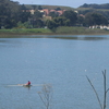 Lake Merced Lake Merced