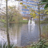 Lakeside Nature Reserve