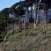 Lands End Lands End