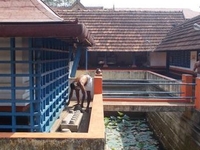 Dakshina Mookambika Temple North Paravur Dakshina Mookambika Temple North Paravur