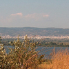 Lysimachia Lake Lysimachia Lake