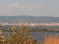 Lysimachia Lake Lysimachia Lake