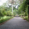 Maharajbagh zoo Maharajbagh zoo