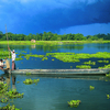 Majuli Island Majuli Island