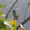 Malabar Wildlife Sanctuary Malabar Wildlife Sanctuary