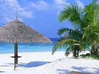 Maldives Honeymoon Packages Maldives Honeymoon Packages