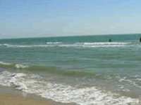 Mandvi Beach - Gulf of Kachchh Mandvi Beach - Gulf of Kachchh