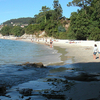 marin marin