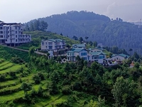 Mashobra Mashobra