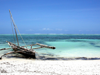 Visit Zanzibar At A Cheap Price