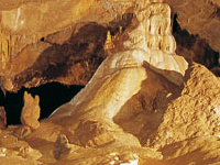 Cueva de Mendukilo Cueva de Mendukilo