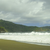 Meru Betiri National Park