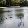 Middleton Park