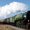 Watercress Line