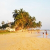 Mirissa Beach Mirissa Beach