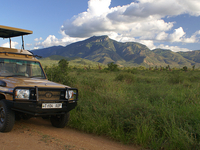 Mkomazi And Saadani National Park Safari Mkomazi And Saadani National Park Safari