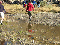 Mojave River Mojave River