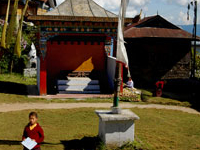 Pelling