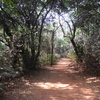 Monkey Point Trail Monkey Point Trail