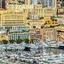 Monte Carlo