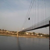 Morbi