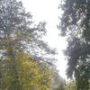 Morden Park