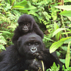 Rwanda