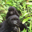 Rwanda Rwanda