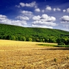 Northumberland County