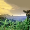 Mount Elgon National Park Mount Elgon National Park