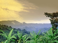 Mount Elgon National Park