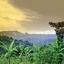 Mount Elgon National Park Mount Elgon National Park