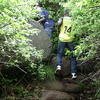 Mount Harriet National Park Trekking Mount Harriet National Park Trekking