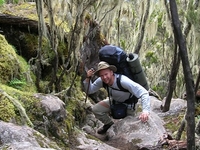6 Days Mount Kilimanjaro Umbwe root