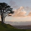 Mount Wellington Mount Wellington
