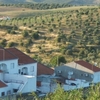 Moura Moura