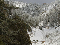 Mt. Baldy
