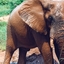 Hwange National Park Hwange National Park