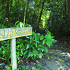 Pulau Tiga National Park Pulau Tiga National Park