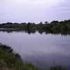 Muga River Muga River