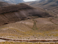 Mukawir