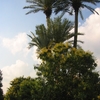 Rahim Yar Khan Rahim Yar Khan