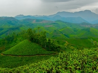 9N/10D Kerala Economy Package 9N/10D Kerala Economy Package