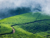 Munnar