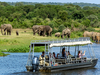 Murchison Falls Tour