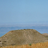 Machaerus Machaerus